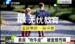 平乐勇哥爆料视频播放全集,事件真相与幕后黑幕